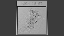 Image of a 3D MSH 15-52 / PSR B1509-58