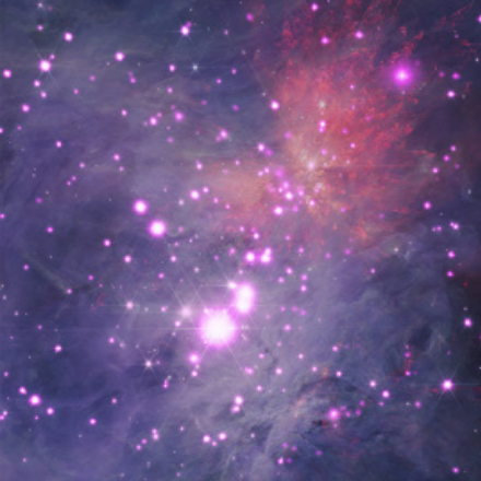 Young stars in Orion Nebula