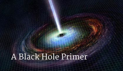 A Black Hole Primer