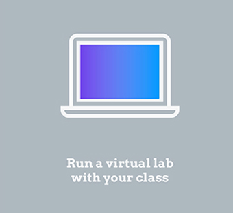 Run a virtual lab