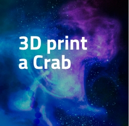 3D Print a Crab