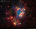 Thumbnail of NGC 1929