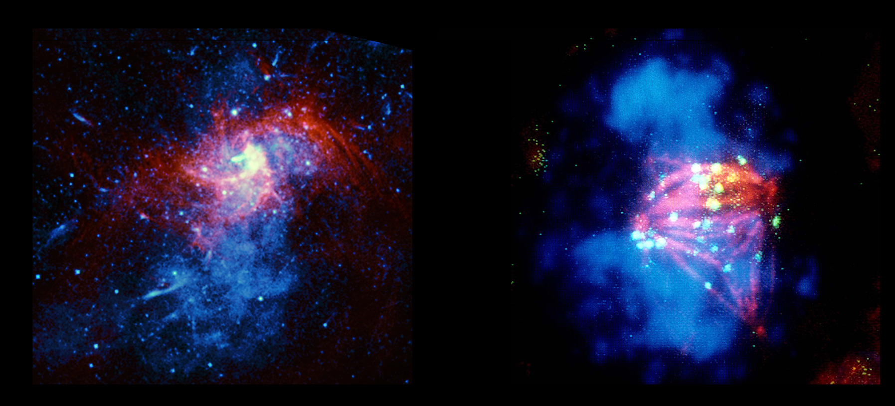 Exploded Star  vs.  Divided Cells