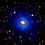 Concentrated Dark Matter at the Cores of Fossil Galaxies