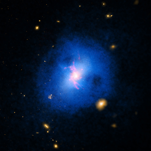 NGC 2276*