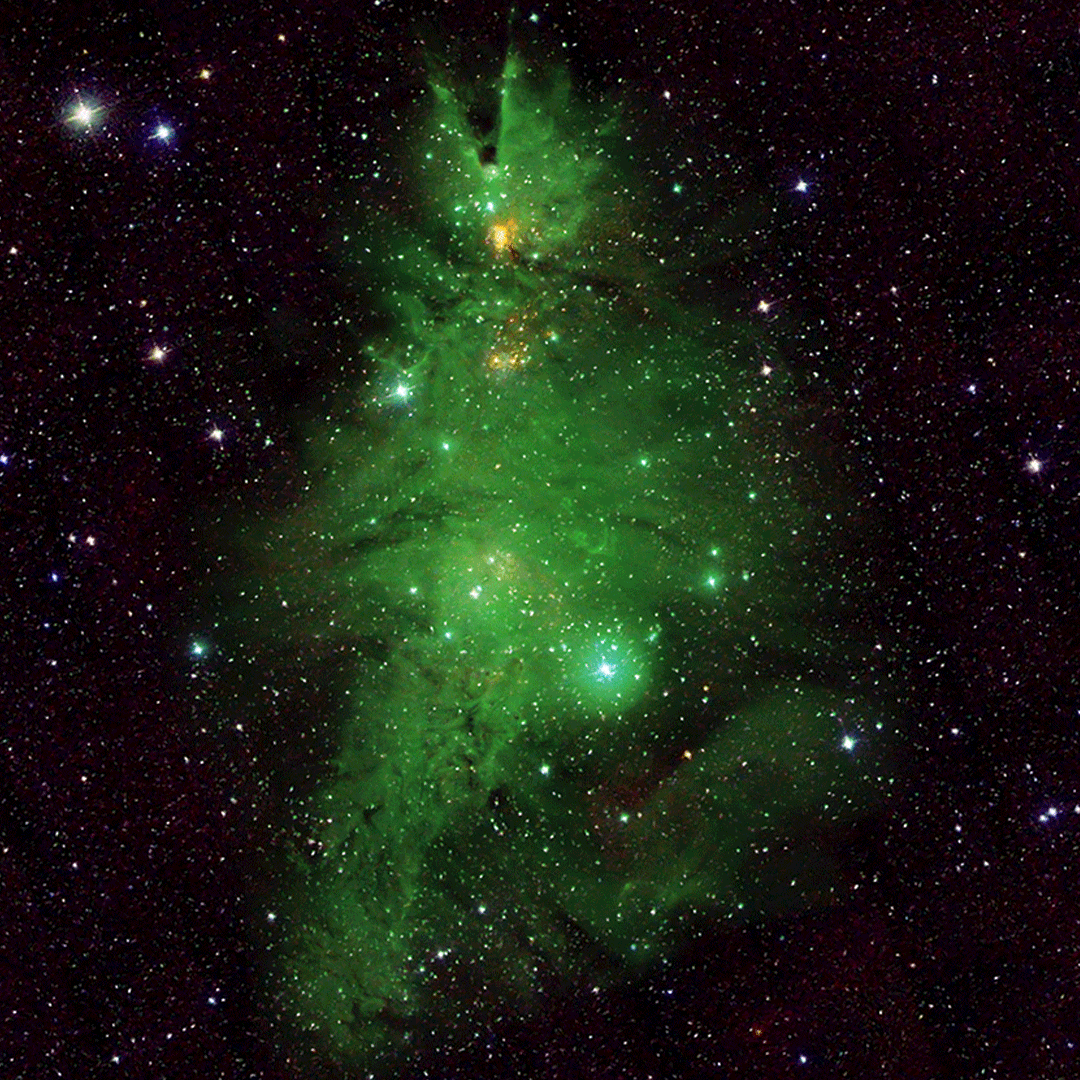 Chandra Photo Album Sprightly Stars Illuminate Christmas Tree 