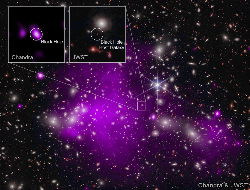 Immagine composita dai dati di Webb e Chandra dell'ammasso di galassie Abell 2744, con zoom sulla galassia UHZ1 trovata da Webb e sul buco nero supermassiccio al suo centro, scoperto da Chandra. Credits: X-ray: NASA/CXC/SAO/Ákos Bogdán; Infrared: NASA/ESA/CSA/STScI