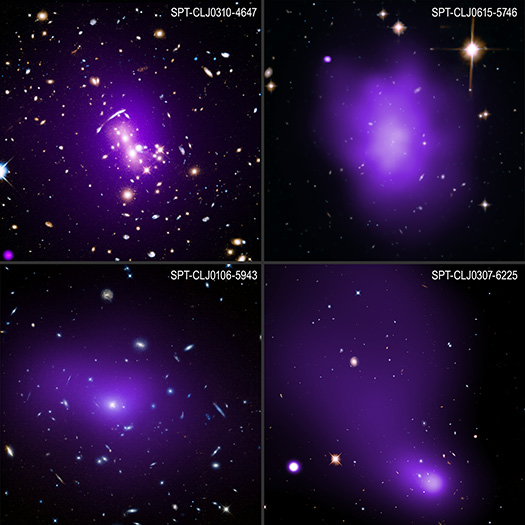 Brightest Cluster Galaxies Survey