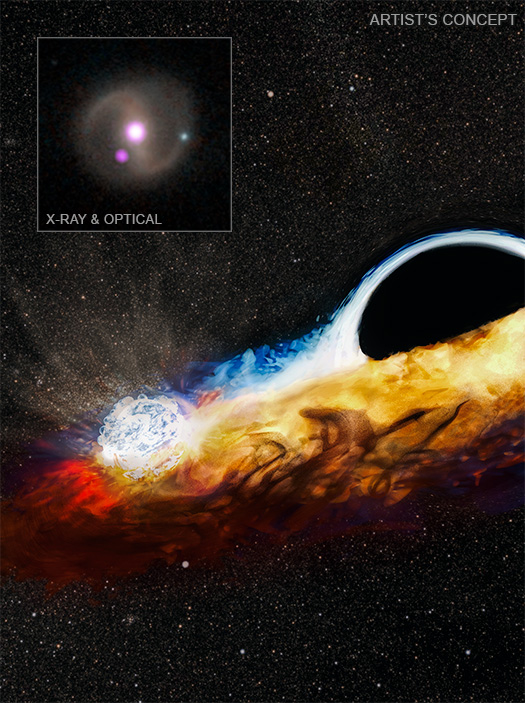 Newswise: BLACK HOLE DESTROYS STAR, GOES AFTER ANOTHER, NASA FINDS