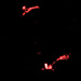 Click for large jpg