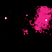 Click for large jpg