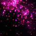 Click for large jpg