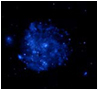 M101 X-ray